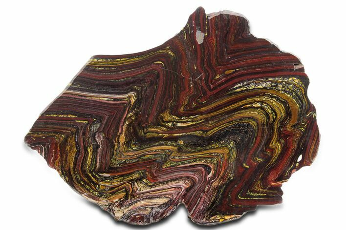 Polished Tiger Iron Stromatolite Slab - Billion Years #354904